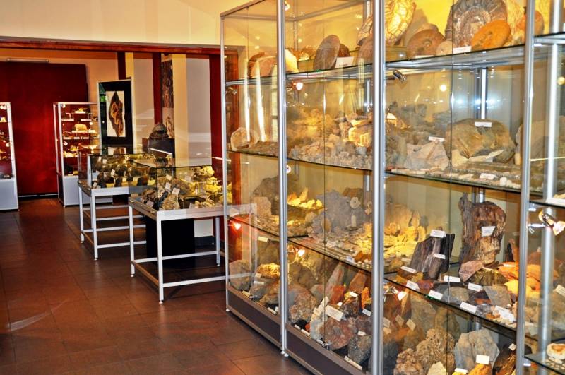 Kolekcja minerałów Ziemi Olkuskiej i skamieniałości Jury Krakowsko-Częstochowskiej