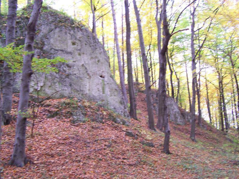 Wapienne ostańce w lesie wokół Czernichowa